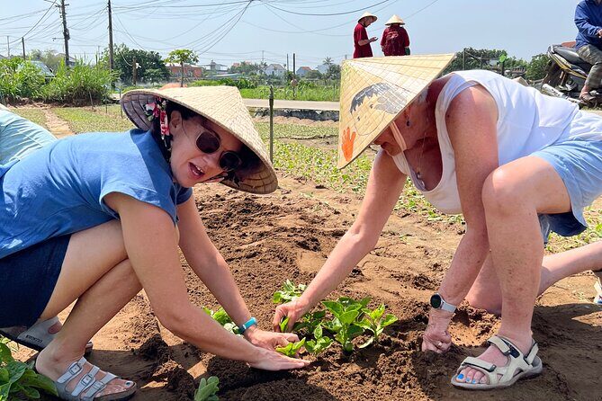 Hand on Vietnamese Cooking class with Ms hanh - What the Reviews Say