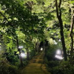 Hangzhou : Cool Morning/Night Baoshi Mountain Guided Tour - Practical Details and Valued Insights