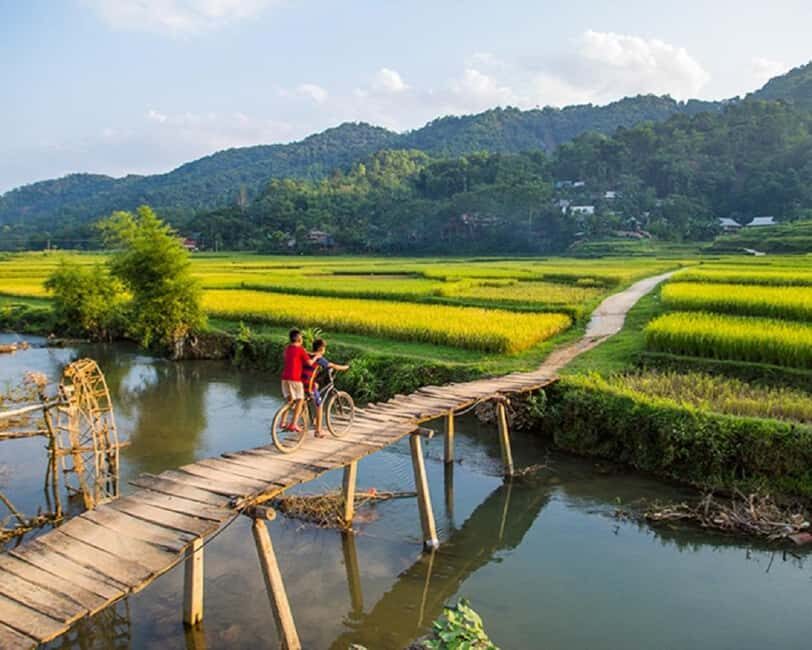 Hanoi: 4-day tour Immersion in the heart of the villages of northern Vietnam - Day 2: Trekking through Puluong’s Terraced Fields and Village Life