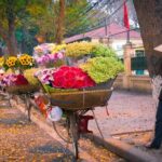 Hanoi Half-day City Tour with Dong Xuan Market - Authenticity and Travel Tips