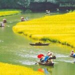 Hanoi - Hoa Lu - Tam Coc - Mua Cave - 1 Day / By Luxury Limousine & Small Group - Potential Drawbacks and Considerations