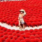 Hanoi: Incense, Hat Villages & Ninh Binh, Trang An Tour - What This Tour Means for You as a Traveler