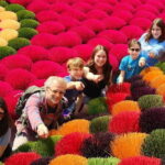 Hanoi Incense Village and Train Street Half Day Private Tour - Final Thoughts