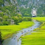 Hanoi: Ninh Binh - Halong 2 D1N trip by Bus - Bungalow/Hotel - A Closer Look at the 2-Day Adventure