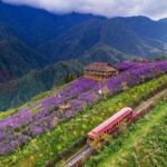 Hanoi: Sapa, Fansipan, and Halong Bay 5-Day Tour - Why This Tour Offers Great Value