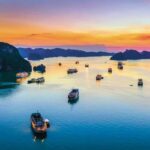 Hanoi: Sapa, Fansipan, and Halong Bay 5-Day Tour - What Makes This Tour Stand Out?