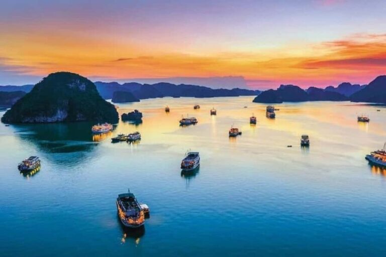 Hanoi: Sapa, Fansipan, and Halong Bay 5-Day Tour - What Makes This Tour Stand Out?