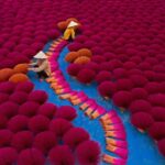 Hanoi: Thang Nghiem Pagoda Or Incense Village & Hat Village - A Detailed Look at the Tour Experience