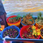 HCMC: Mekong Delta 2-Days My ThoBen Tre & Cai Rang Market - A Detailed Breakdown of the 2-Day Experience