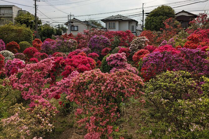 Hidden Temples Tour of Tokyo in Karasuyama - Who Will Love This Tour?