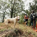 Hidden Trails & Forest Views | U Lesa Sóc Sn Experience - Final Thoughts