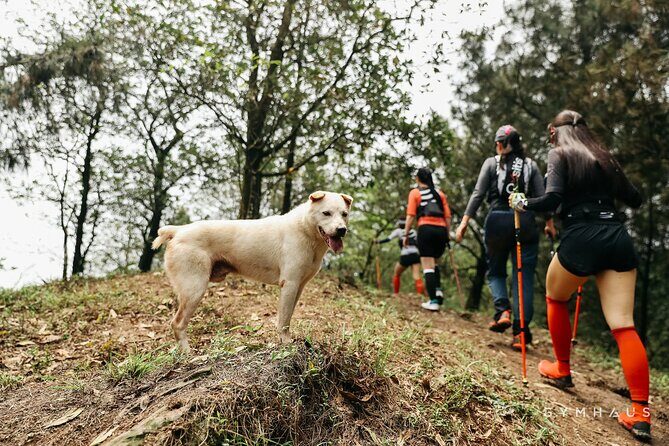 Hidden Trails & Forest Views | U Lesa Sóc Sn Experience - Final Thoughts