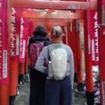 Hidden Treasures of Kamakura Temples Shrines and Buddha - Navigating the Details