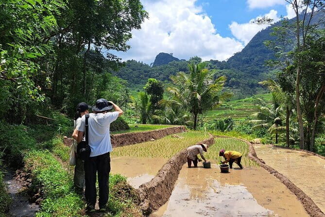 Hidden Waterfall & Selogriyo Rice Terraces Trek from Yogyakarta - Who Should Consider This Tour?