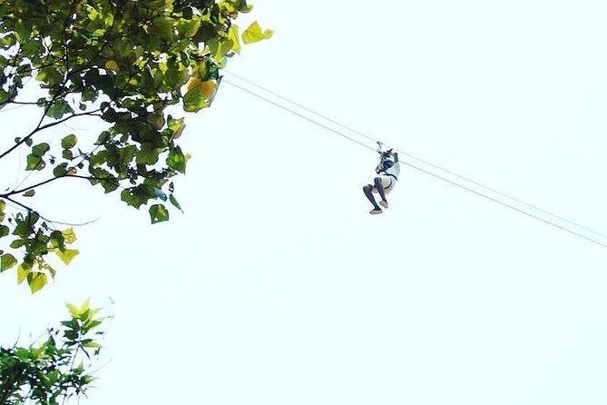 High Ropes Course in Madikeri - The Value of the Tour