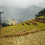 Highland Harmony Trek in Sapa - Final Thoughts