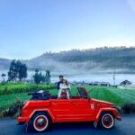 Highlight Ubud Tour in Classic Vintage Volkswagen - Exploring Ubud in Style: An Authentic Bali Experience
