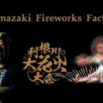 Hikawa Shrine Ibaraki Tone River Fireworks Festival One Day Tour - The Highlight: Tone River Fireworks Festival
