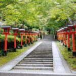 Hike and explore the Kurama and Kibune ancient Paths - A Closer Look at the Experience