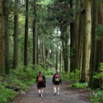Hike Japan Heritage Hakone Hachiri (Half Day) - FAQs