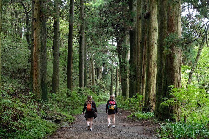 Hike Japan Heritage Hakone Hachiri (Half Day) - FAQs
