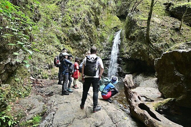 Hiking Adventure to Mt. Mitake, escaping from the Heart of Tokyo - In-Depth: Why This Experience Delivers Real Value