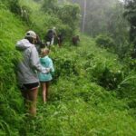 Hiking and Zipline Private Tour from Chiang with Karen Village - Who Will Love This Tour