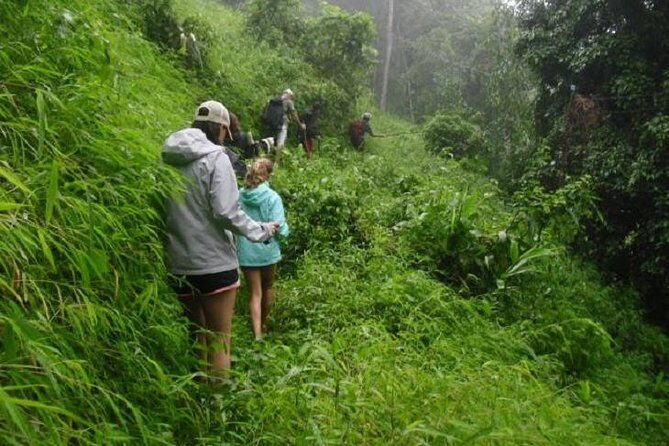 Hiking and Zipline Private Tour from Chiang with Karen Village - Who Will Love This Tour
