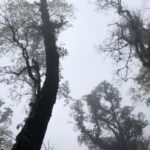 Hiking Fansipan in 1 day - Final Thoughts: Is It Worth It?