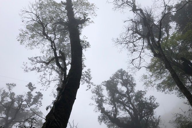 Hiking Fansipan in 1 day - Final Thoughts: Is It Worth It?