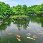 Himeji and Kobe Luxury Day Tour with Guide From Kyoto/Osaka - FAQ
