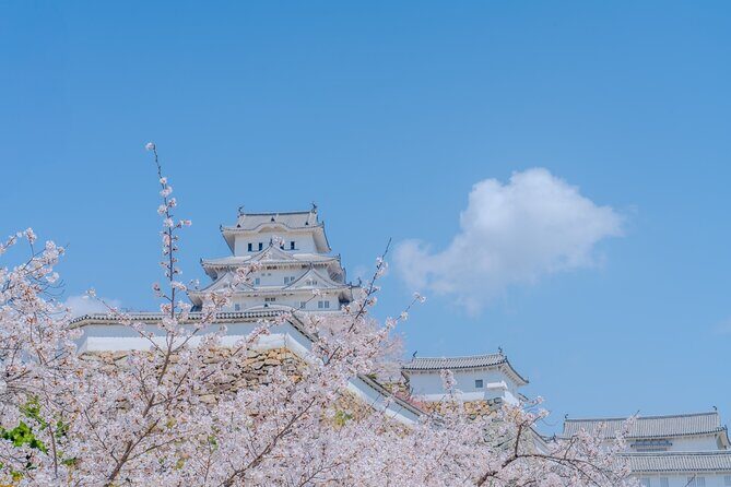 Himeji Castle Cherry Blossom Tour - Final Thoughts