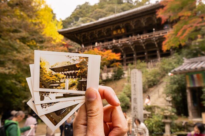 Himeji in Shoshazan Engyo ji Photography Tour Experience - Who Should Consider This Tour?