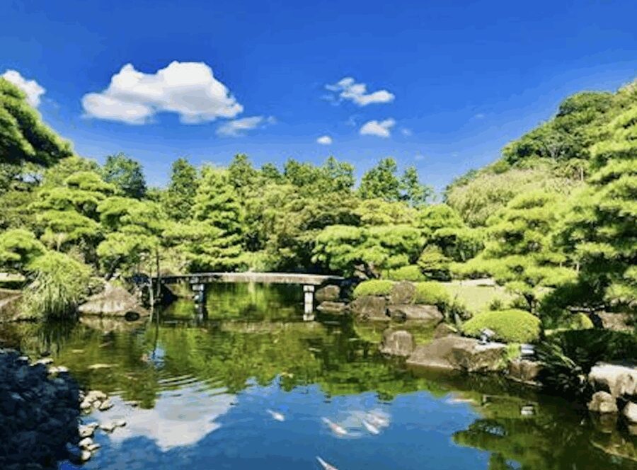 Himeji Private Custom Tour with Local Guide - What’s the Real Value Here?