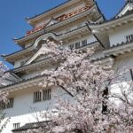 Hiroshima Luxurious Private Tour with English Guide - Final Thoughts: Who Is This Tour Best For?