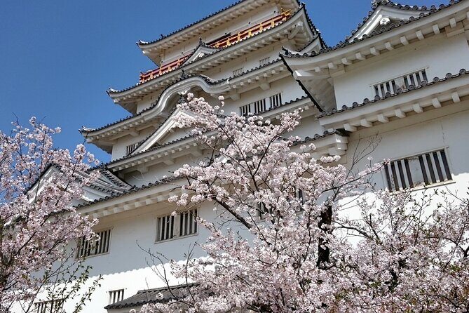 Hiroshima Luxurious Private Tour with English Guide - Final Thoughts: Who Is This Tour Best For?