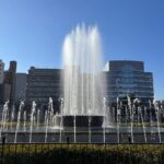 History of Hiroshima Private Walking Tour - The Experience: What to Expect and How It Feels