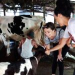 Ho Chi Minh City Full-Day Farm trip with Healthy Cooking Class - Exploring the Farm: From Animals to Plants