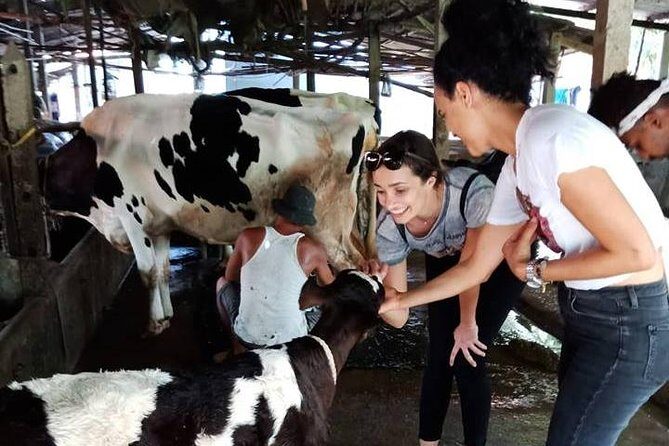 Ho Chi Minh City Full-Day Farm trip with Healthy Cooking Class - Exploring the Farm: From Animals to Plants