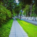 Ho Chi Minh City Half-day Tour - The Itinerary in Detail