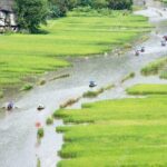 Hoa Lu- Tam Coc -Ninh Binh 1 day by Limousine bus small group - Who Should Consider This Tour?