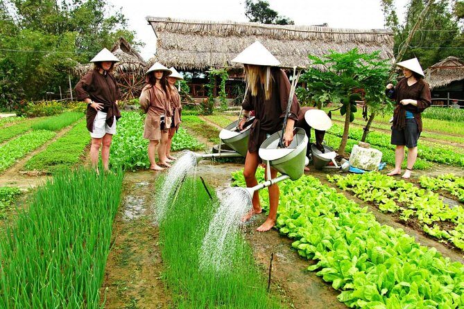 Hoi An Countrylife Tour Experience & Vietnamese Set Menu - FAQs