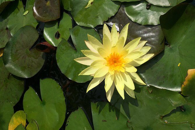 Hoi An countryside adventure by Jeep - A Deep Dive into the Hoi An Countryside Jeep Tour