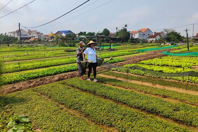 Hoi An Half-Day Bicycle Tour: Visit Herb Village, Row Basket Boat - Who Will Love This Tour?