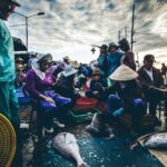 Hoi An Sunrise Fish Market Tour - Who Would Enjoy This Tour?