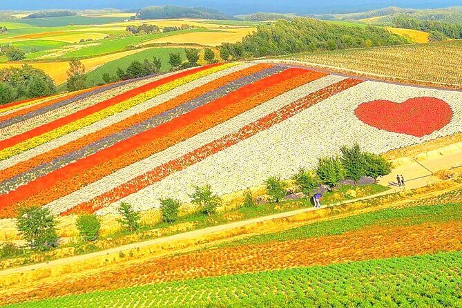 Hokkaido, Asahikawa Zoo Classic Day Tour With Optional Snomobile - Practical Details and Tips