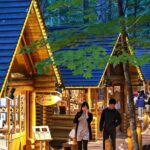 Hokkaido Asahiyama Zoo, Biei & Ningle Terrace Day Tour | Hokkaido - Why This Tour Offers Great Value