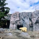 Hokkaido: Asahiyama Zoo, Furano, and Ningle Terrace Tour - Final Thoughts: Is It Worth It?