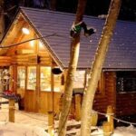 Hokkaido Biei Private Tour - The Sum Up: Is This Tour Worth It?