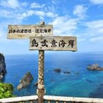 Hokkaido Cape Kamui Shimamui Coast Otaru Day Tour from Sapporo - Final Thoughts: Is This Tour Right for You?